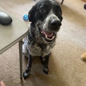 Meet your Posher, Nathan